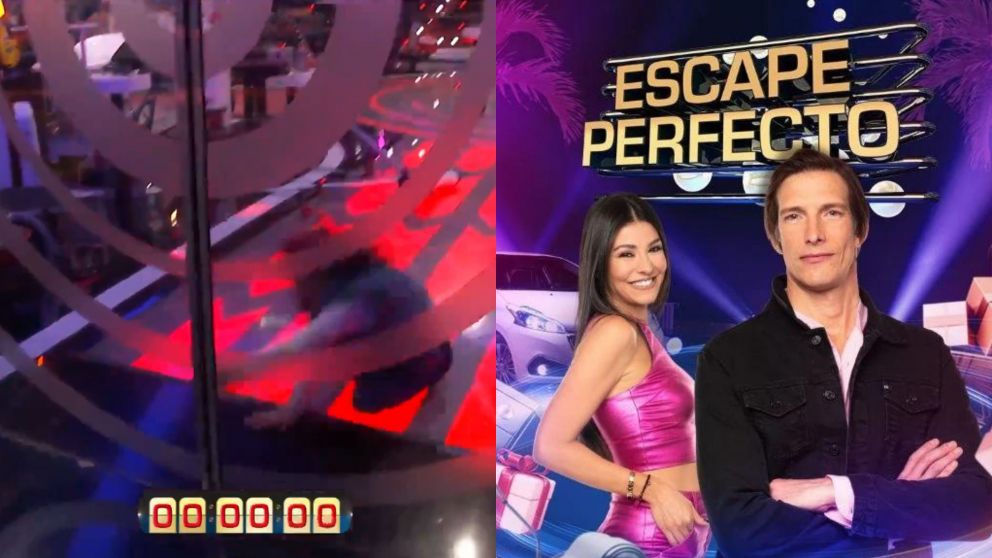 Una jugadora lo dejó todo en la jaula, pero no fue suficiente.