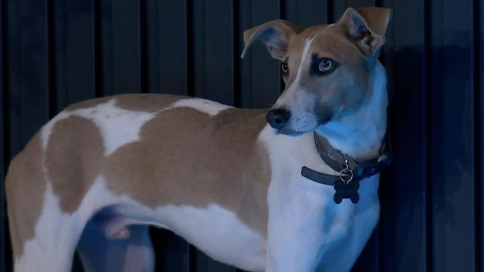 La iniciativa para pedir por Arturo de "Gran Hermano 2024" (Foto web).