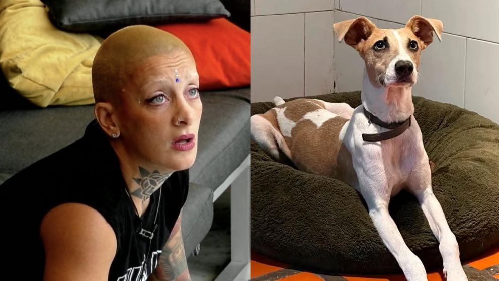 La nueva advertencia de los rescatistas por Arturo de "Gran Hermano 2024" (Foto web).