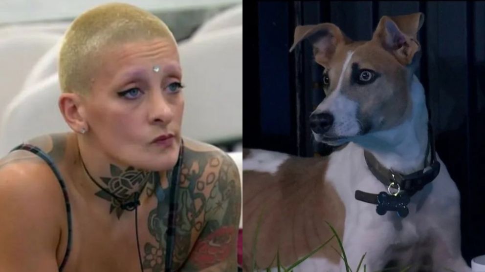 "Gran Hermano 2024": Furia violentó a Arturo y piden su expulsión