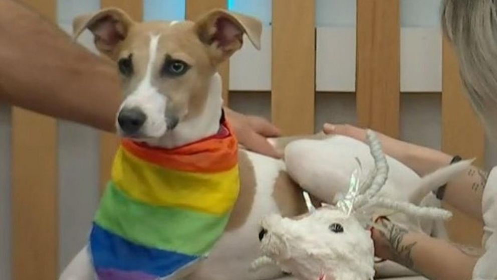 La polémica versión sobre Arturo de "GH 2024" (Foto web).