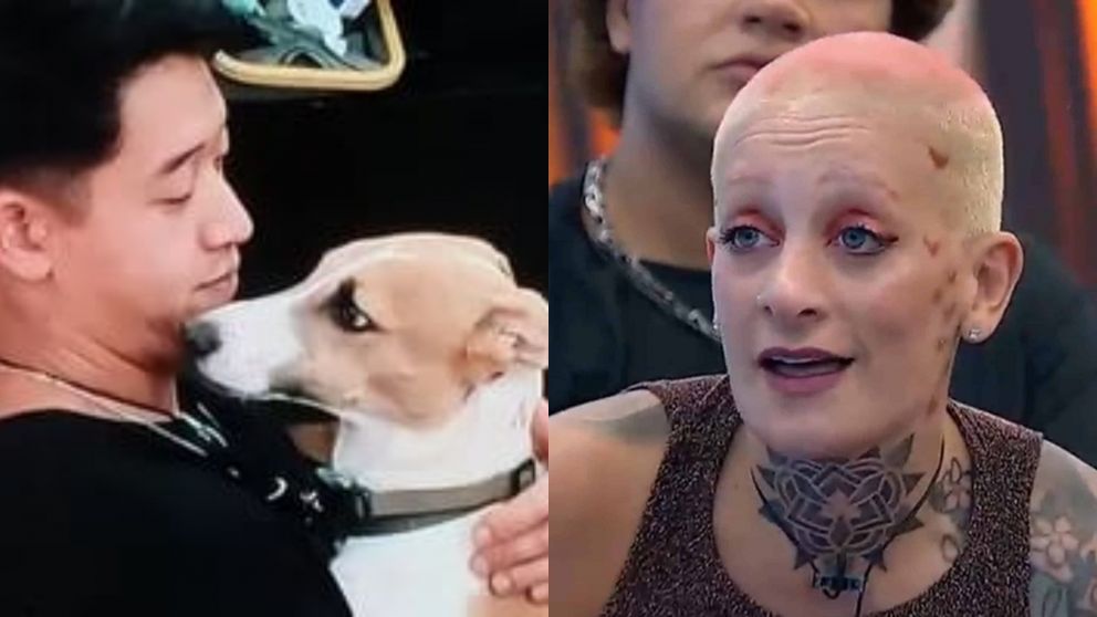 Furia de "Gran Hermano 2024" está celosa de Arturo, el perro de la casa.