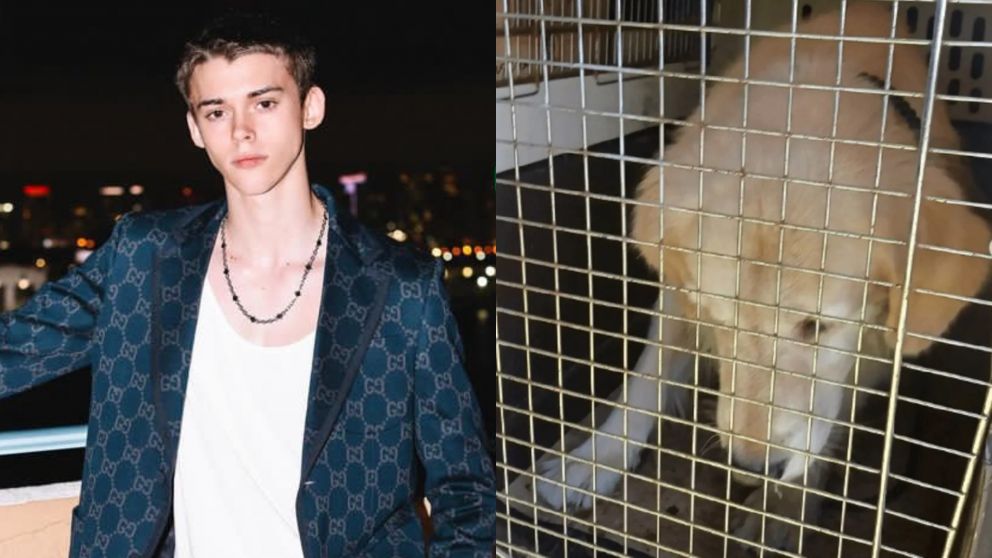 Felipe Fort rompió el silencio tras ser involucrado en el caso de la mujer que quiso faenar a su perro. (Foto: Crónica e Instagram/ @felipe_fort_).