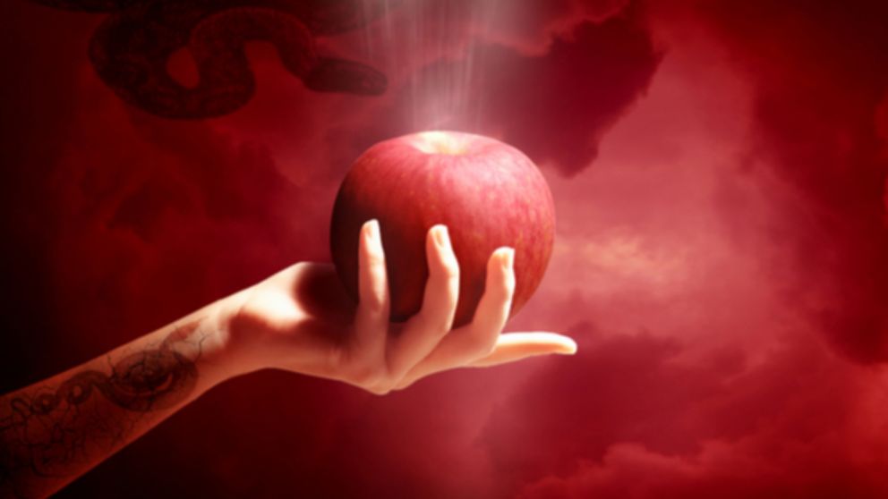 Horóscopo: descubrí cuáles son signos del zodíaco a los que más les atrae lo prohibido.