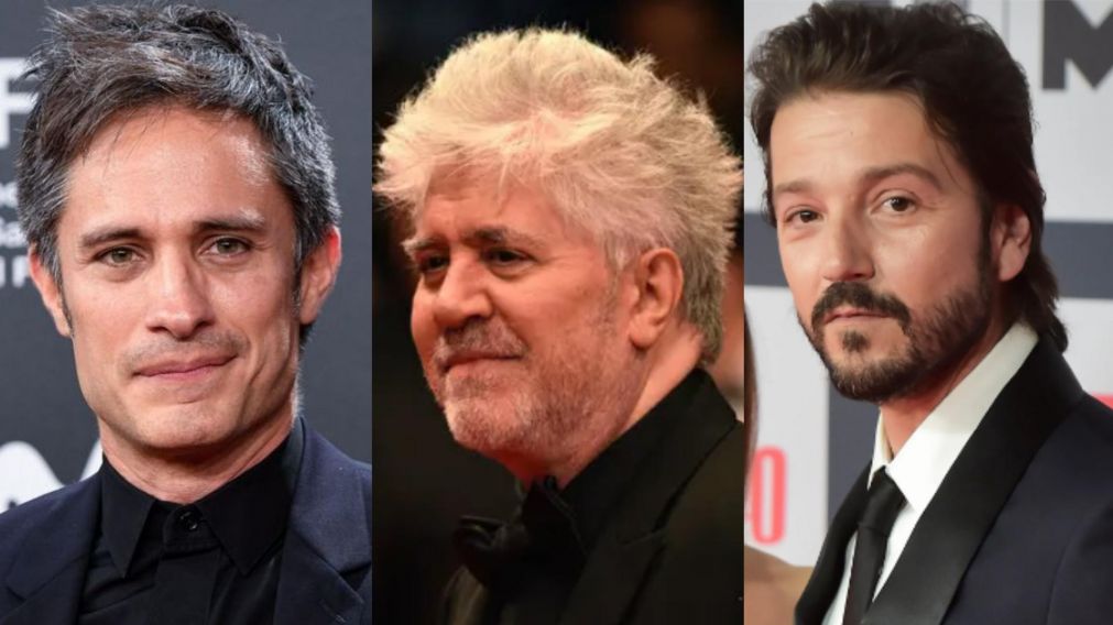 Las figuras del cine internacional, en apoyo del INCAA (Foto web).