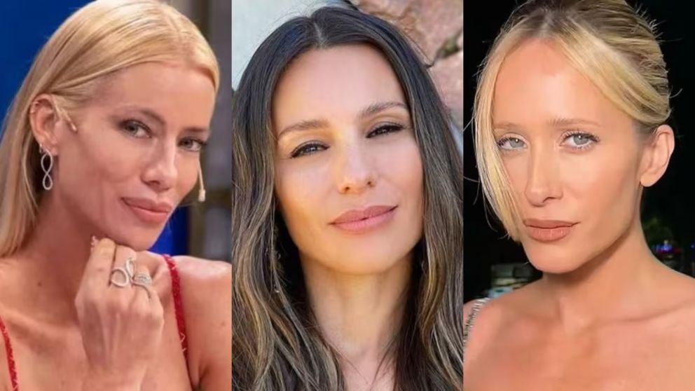La tajante respuesta de Pampita cuando le dieron a elegir entre Julieta Prandi y Nicole Neumann. (Foto: Web).