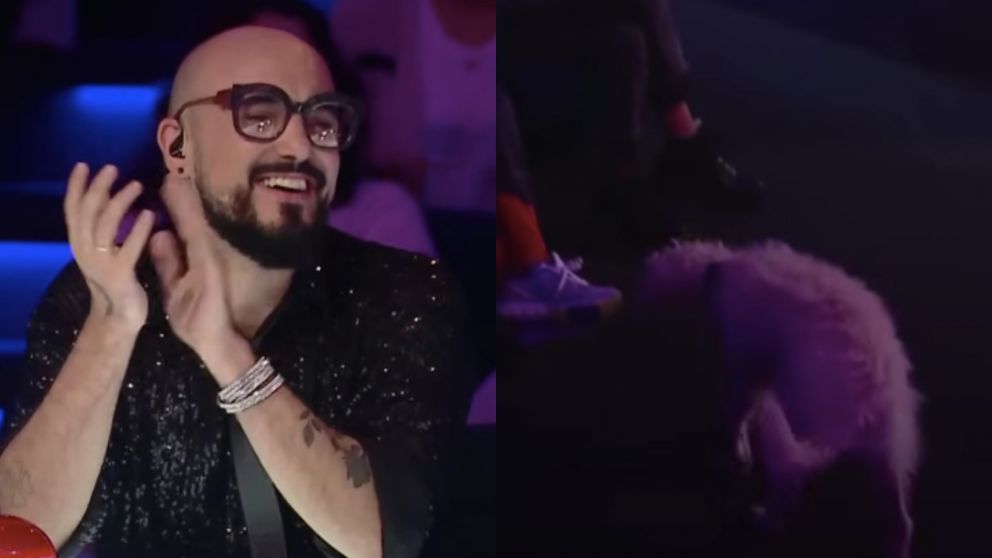 Un perro se escapó del escenario de "Got Talent Argentina", en medio de una presentación, y enamoró a los jurados. (Foto: Telefe).