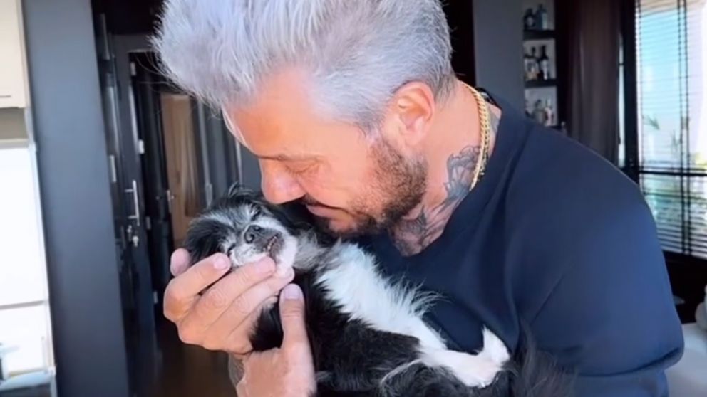 Marcelo Tinelli despidió a su perrita con un desconsolador video.