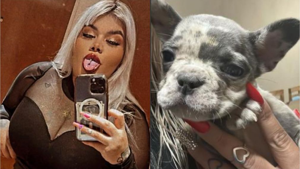 More Rial puso en venta a su perro y causó indignación en las redes sociales.