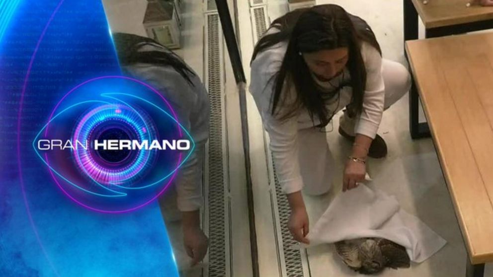 Jennifer de "Gran Hermano Chile" revivi� un b�ho con su magia.