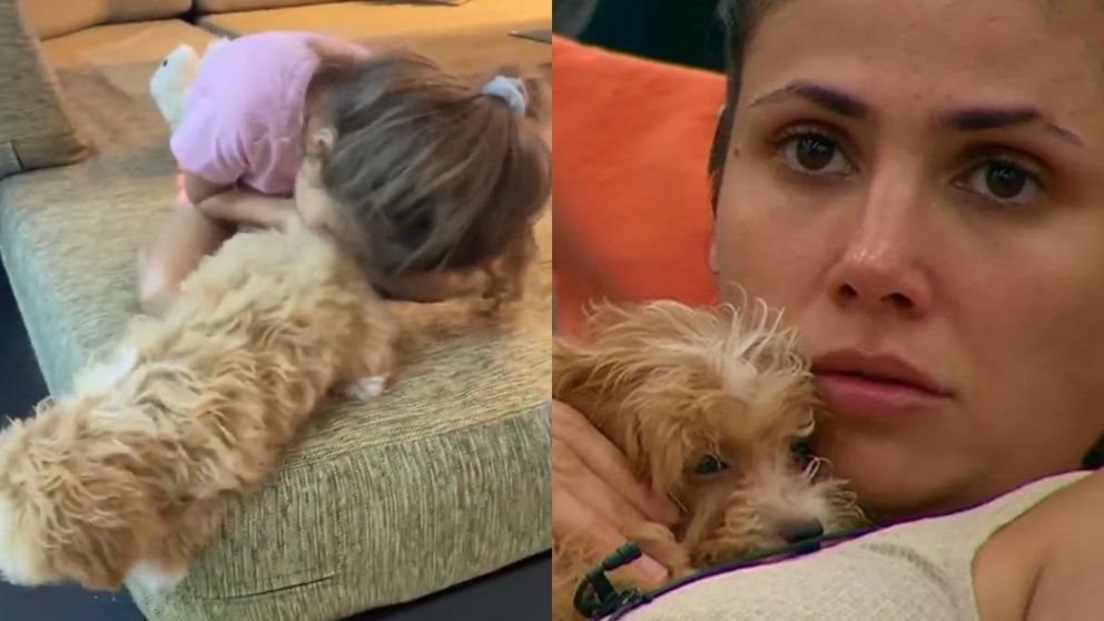 Romina de Gran Hermano, de nuevo bajo fuego por el cuidado de Caramelo.