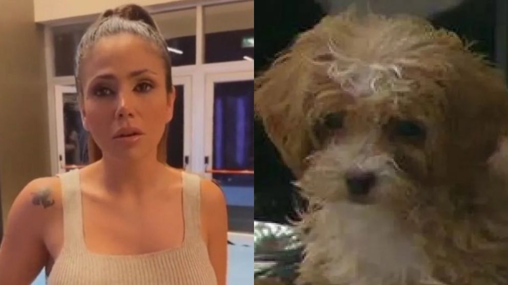 Romina de "Gran Hermano 2022", desesperada por la tenencia de Caramelo.