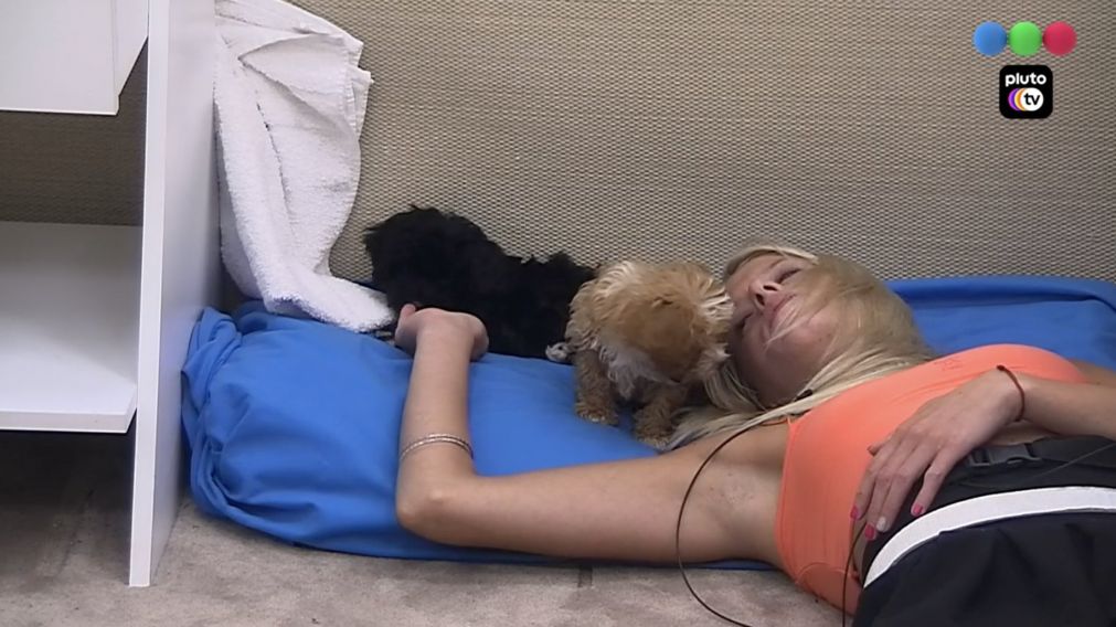 Camila dijo que quería dormir con los cachorros y en Twitter la "mataron".