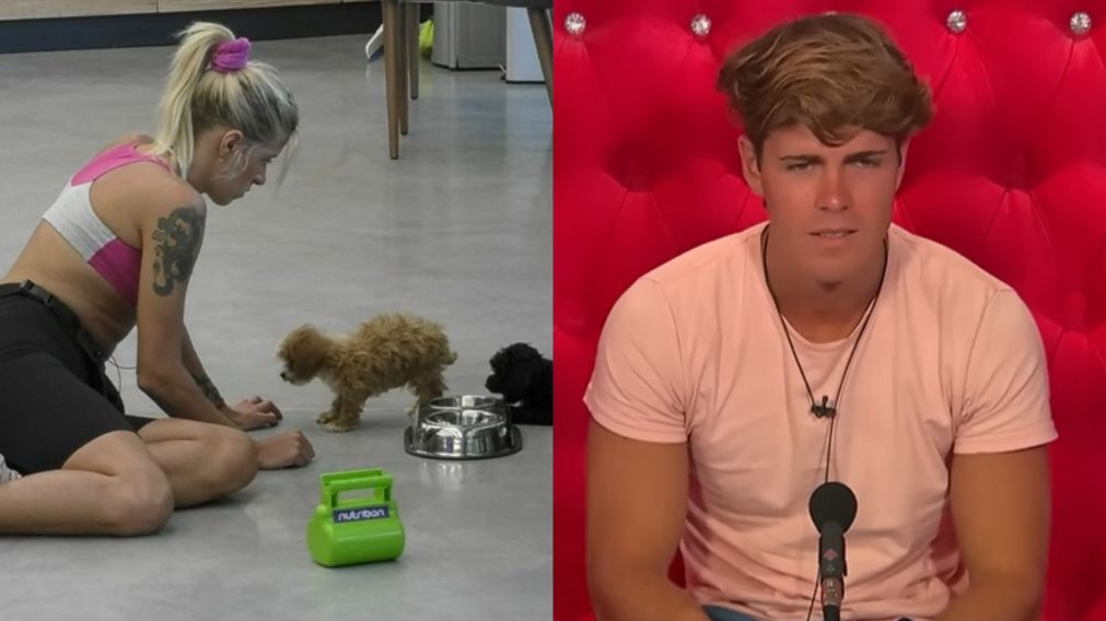 Marcos contra Camila por los perritos de "Gran Hermano".