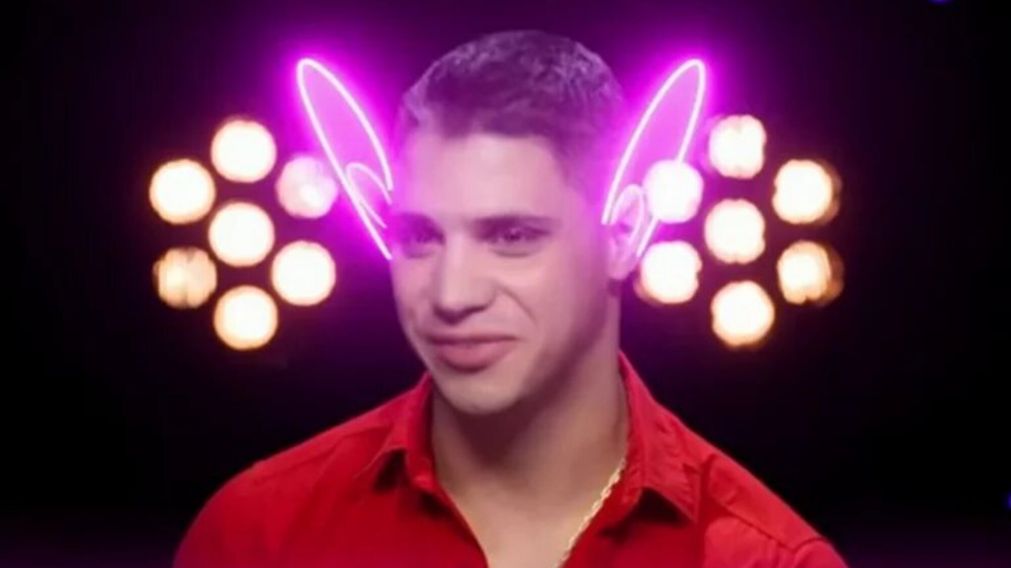 Conejo de Gran Hermano