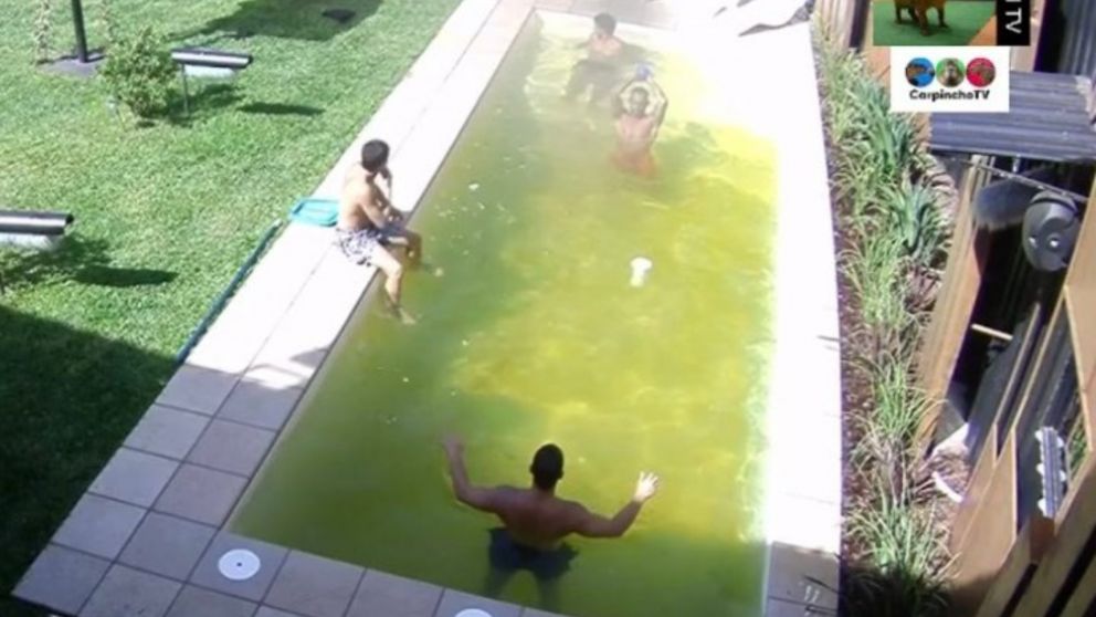 La reacción de los espectadores a la pileta de "Gran Hermano" dejó una ola de memes