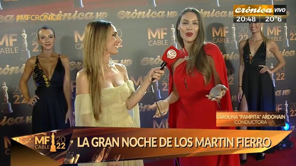 Pampita en los Martín Fierro.