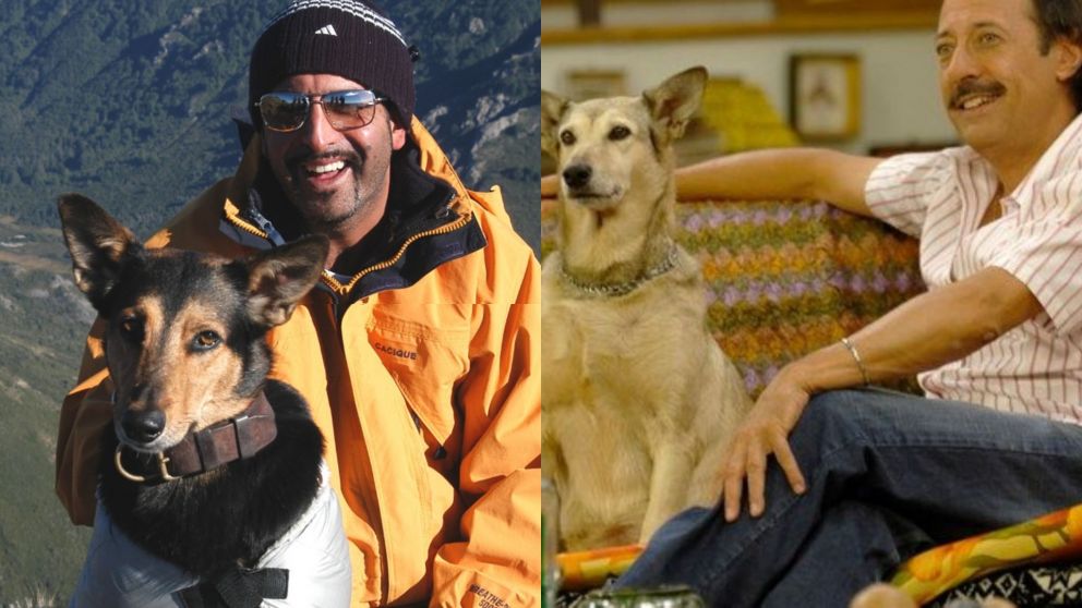 Bet�n y Violeta, (Fatiga) eran hermanos y fueron los perros m�s recordados de la tv.