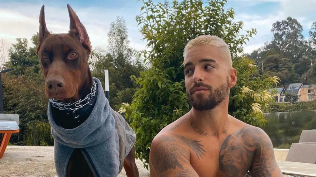 Maluma compartió como le quedó el rosto tras ser mordido por su perro.