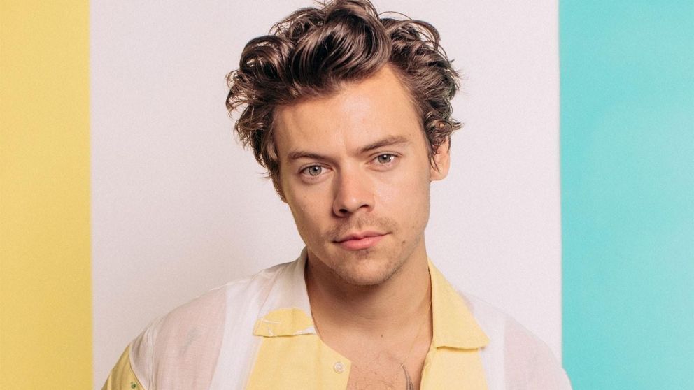 El tierno gesto de Harry Styles con una fan embarazada que se volvió viral