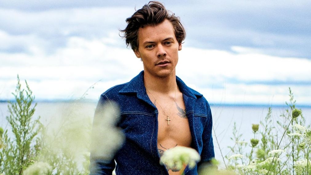 Harry Styles vuelve a la Argentina en 2022 con tickets agotados.