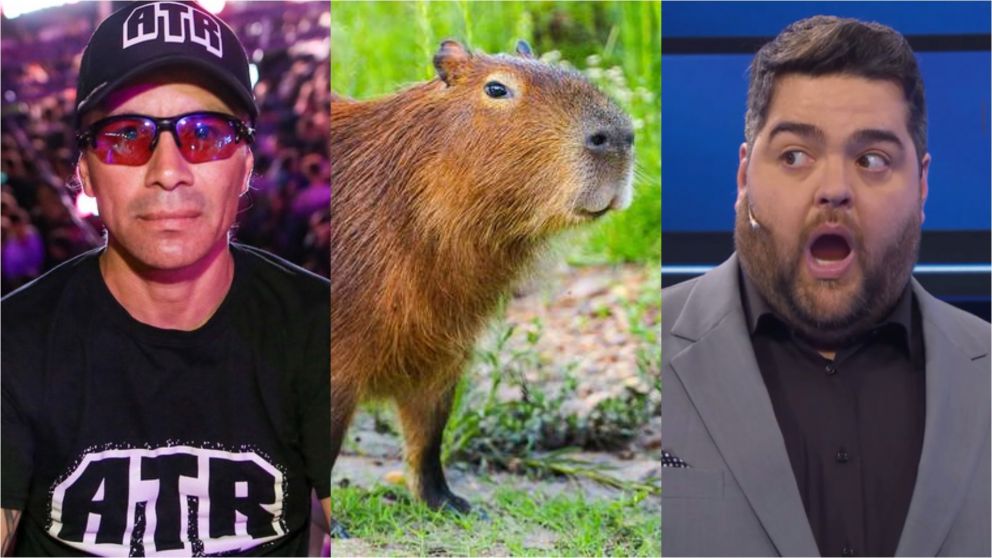 Las reacciones de los famosos tras la invasión de carpinchos.