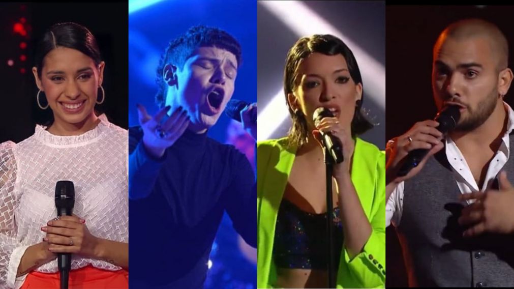 Detalles de las última etapas de "La Voz Argentina".