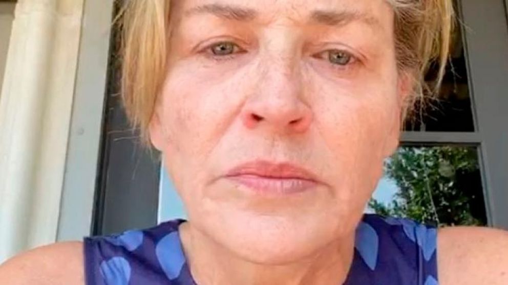 Sharon Stones arremetió sin piedad contra Donald Trump.
