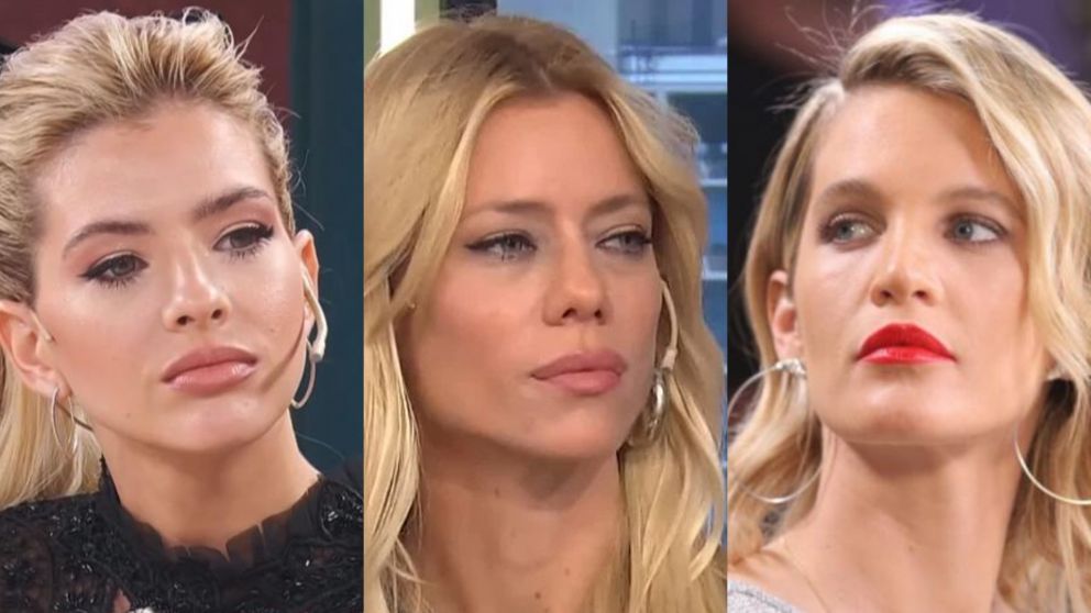 "La China" Suárez, Nicole Neumann y Liz Solari denunciaron a una reconocida actriz por maltratar a sus animales
