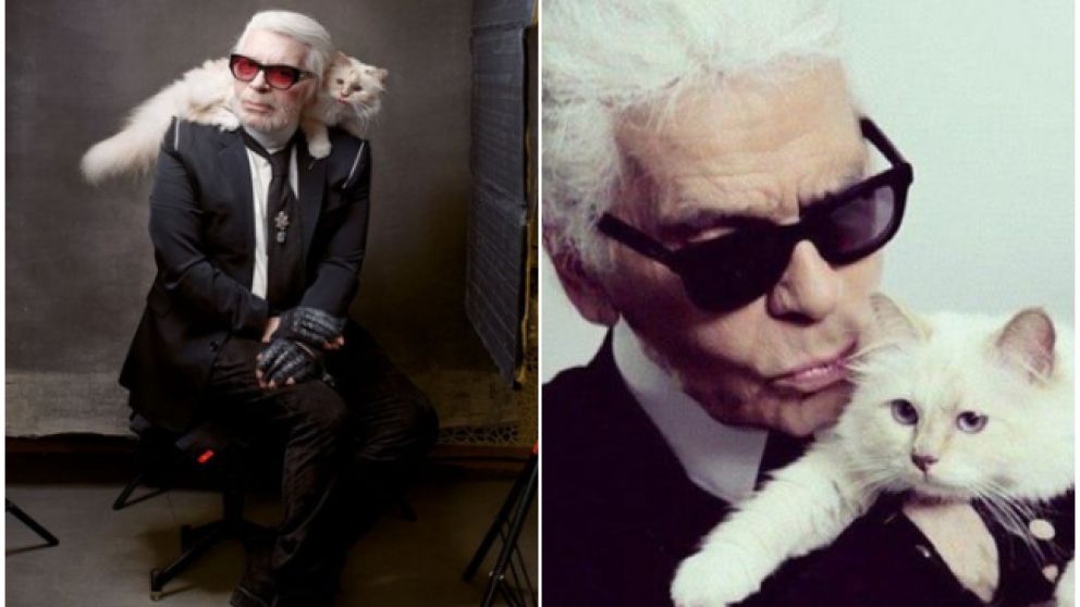 La gata Choupette es toda una celebridad que se mueve entre el mundo animal y el de la moda.