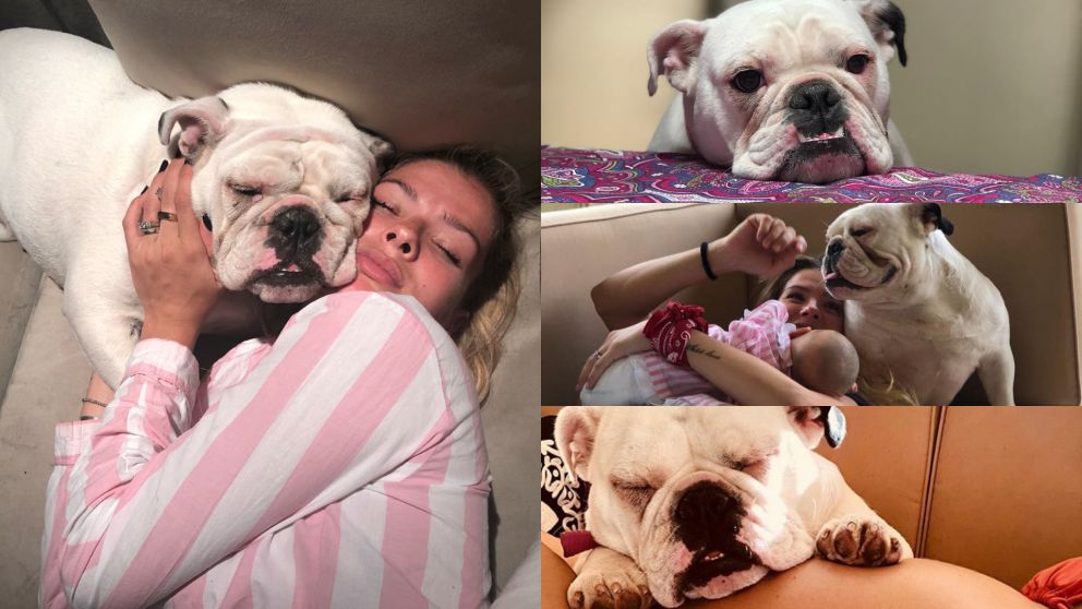 La actriz lamentó la muerte de su mascota.