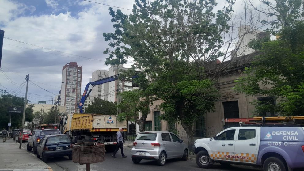 Un vecino podó mal un árbol y generó un operativo de emergencia en pleno centro