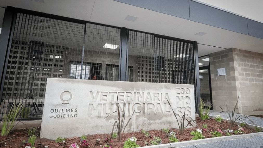Quilmes centraliza la atención veterinaria: horarios, servicios y cómo sacar turno