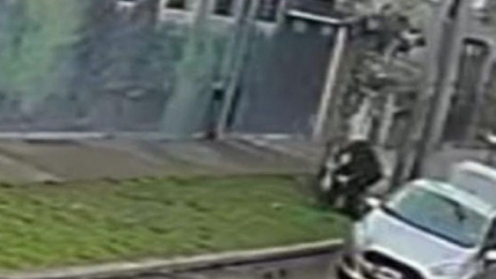 Un vecino tiró el cuerpo de un perro muerto en la calle y desató indignación