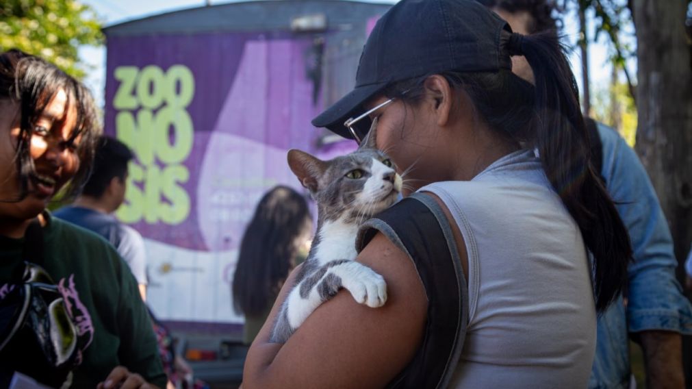 Quilmes: dónde será el operativo de castración de mascotas de este jueves