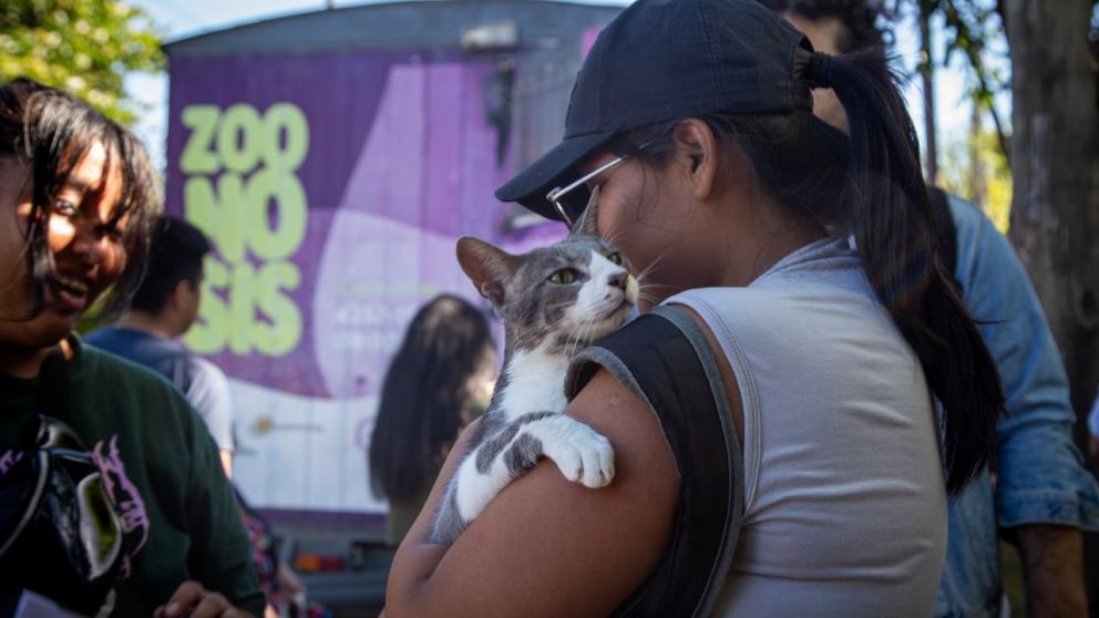 Quilmes: dónde será el operativo de castración de mascotas de este jueves