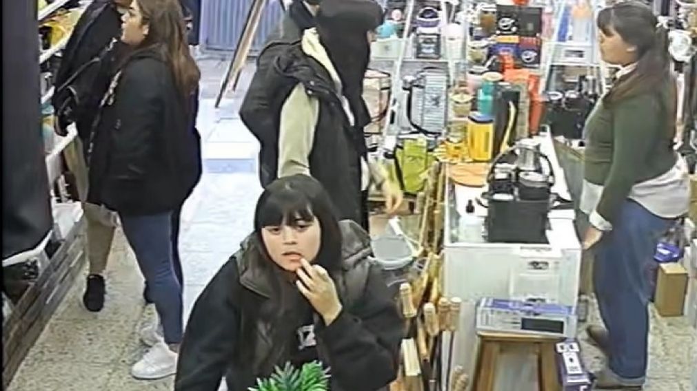 Macheras robaron en un comercio de Solano