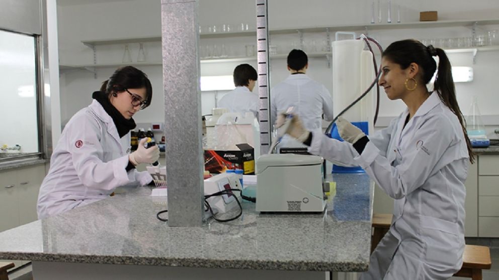 Encuentro bonaerense de Ciencia y Universidad en la UNQ: los detalles