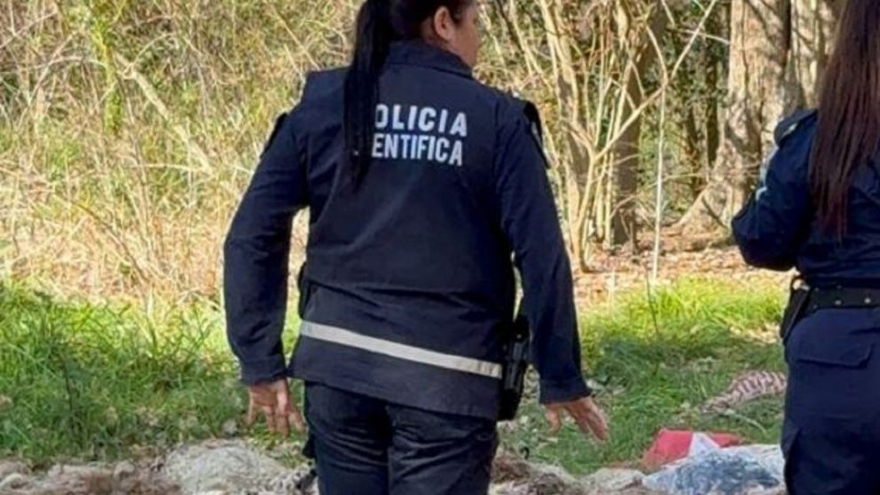 Denuncian rituales con mutilación de animales en el Parque Pereyra: detalles aberrantes