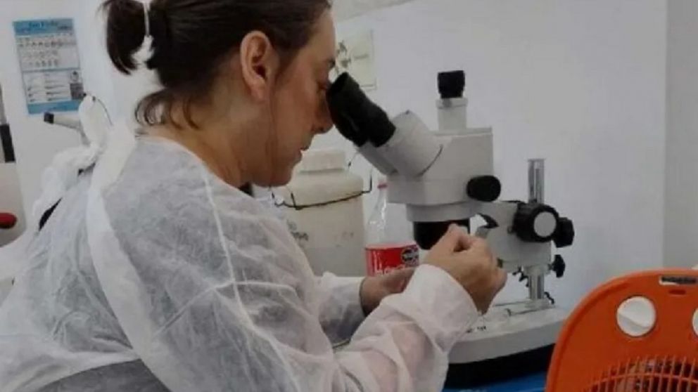 Cient�ficos de la UNQ desarrollan una f�rmula innovadora para tratar enfermedades respiratorias