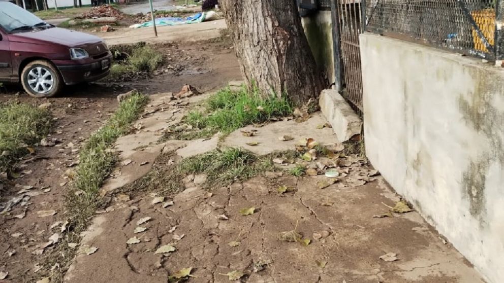 Tras el temporal, un árbol quedó inclinado y preocupa a vecinos: dónde