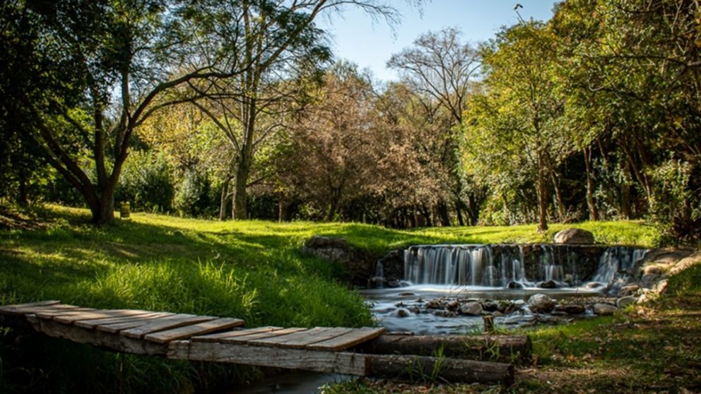 Calendario 2025: cu�ntos feriados habr� en mayo y qu� d�a caen