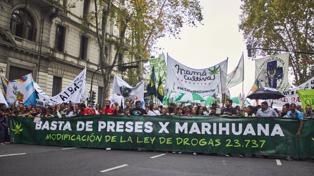 Marcha Mundial de la Marihuana: reclaman una ley de drogas con mirada de derechos humanos