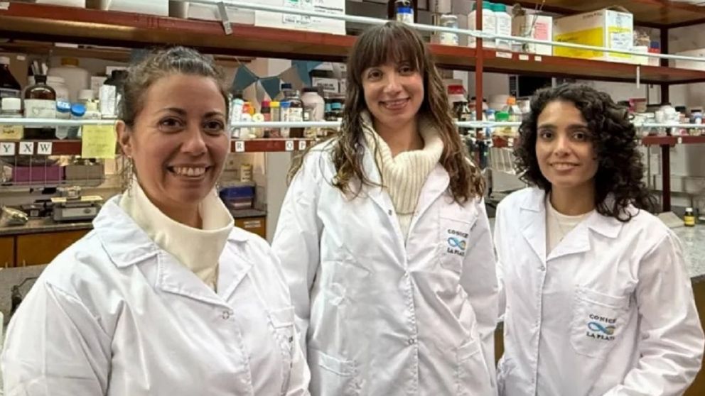 Científicas de la UNQ crean un apósito que cura heridas sin dolor: de qué se trata