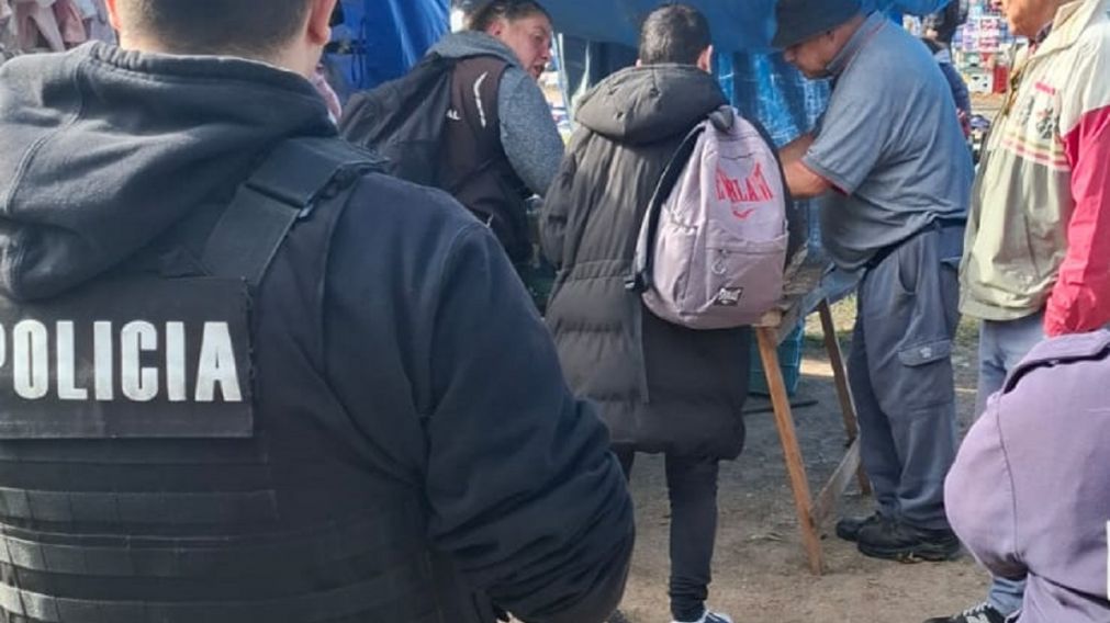 Horror en una feria: vendían tortugas, patos y loros como si nada