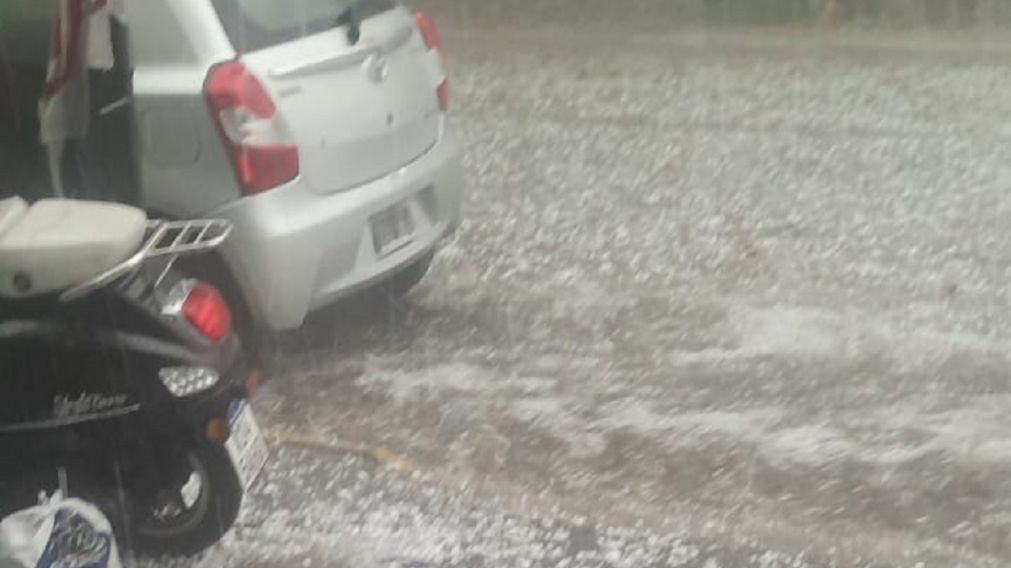 Árboles caídos, autos atrapados y heridos tras el temporal