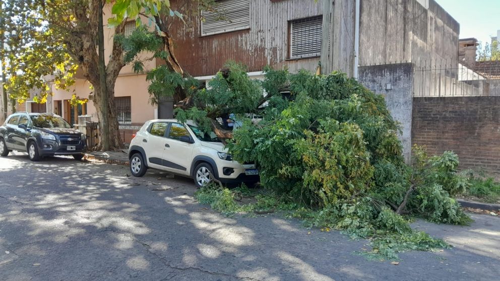 �rbol se desplom� sobre un auto estacionado y provoc� importantes da�os