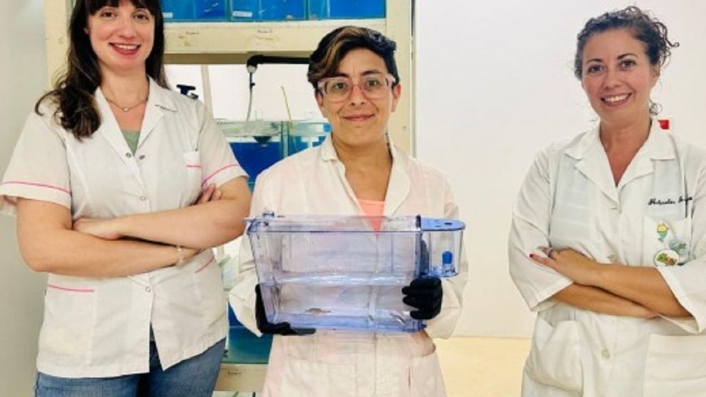 La UNQ recibe certificación de ANMAT y abre su acuario al servicio científico