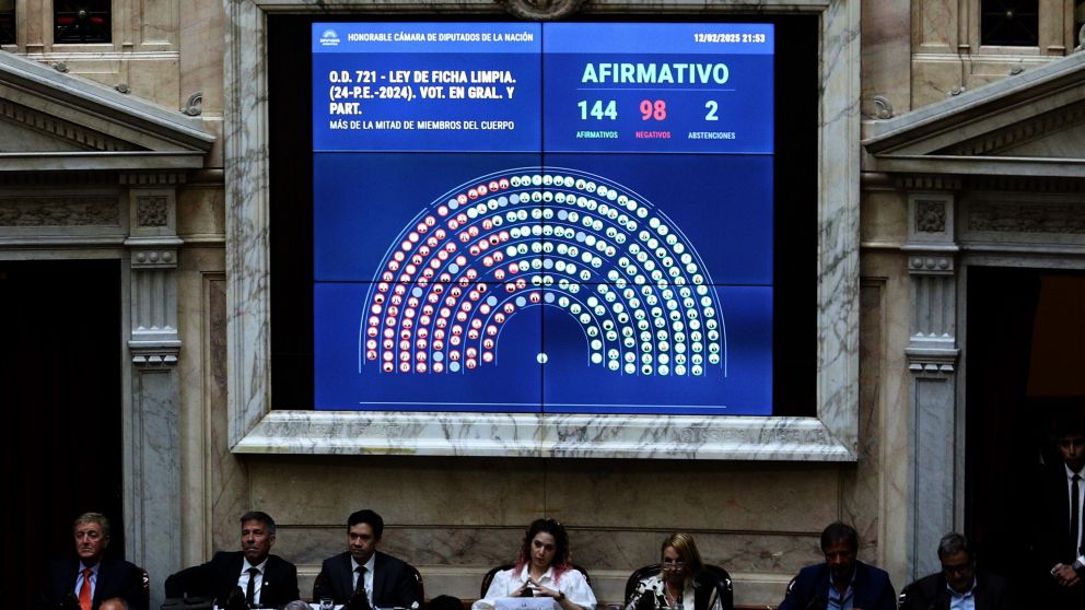 Ficha Limpia tuvo media sanción en Diputados.