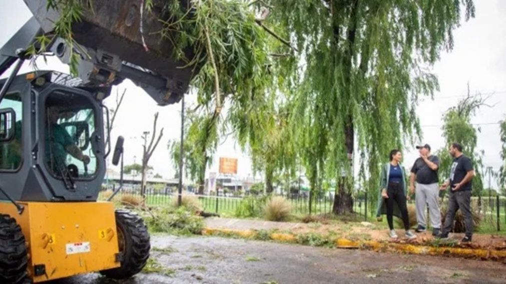 Intensas tareas de limpieza, levantamiento de árboles y postes en Quilmes: dónde y qué consecuencias dejó el temporal